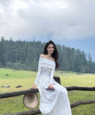 French retro style, simple off-shoulder dress, 2024 new style, fairy-like, niche, slimming and height-enhancing. French retro style, simple off-shoulder dress, 2024 new style, fairy-like, niche, slimming and height-enhancing.