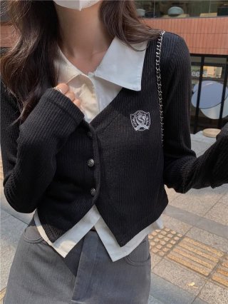 This stylish, trendy, two-piece short-sleeved knit top is perfect for autumn and can be worn as an outerwear piece.