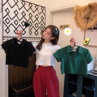 Summer Korean style polo shirt, versatile, slimming, high-waisted, cropped, short-sleeved t-shirt, women's clothing 202