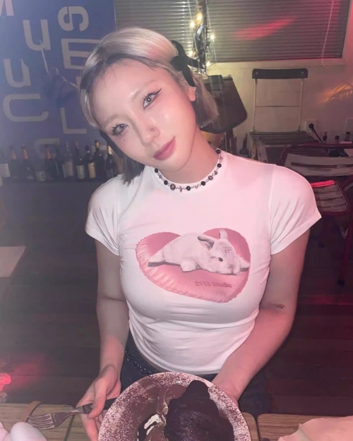 1*1 Pure Cotton High Elasticity New Summer Short-Sleeved Top, Fits Well with High-Waisted Pants, Slimming and Stylish