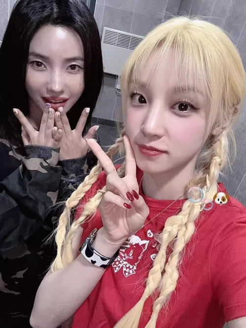 [1*1 Pure Cotton Regular Style] Printed Straight Shoulder Regular Short Sleeve High Elasticity New Summer Slim Fit