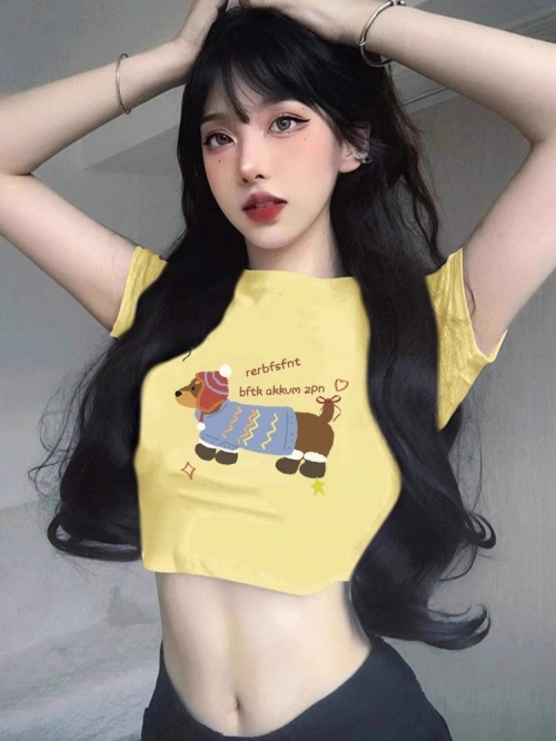 1*1 Pure Cotton High Elasticity New Summer Short-Sleeved Top, Fits Well with High-Waisted Pants, Slimming and Stylish