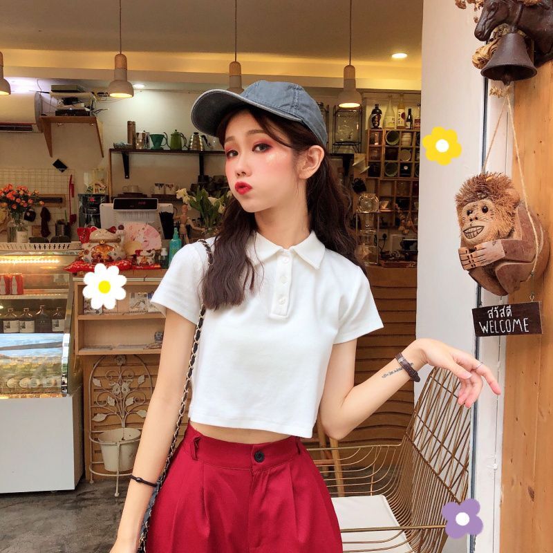 Summer Korean style polo shirt, versatile, slimming, high-waisted, cropped, short-sleeved t-shirt, women's clothing 202