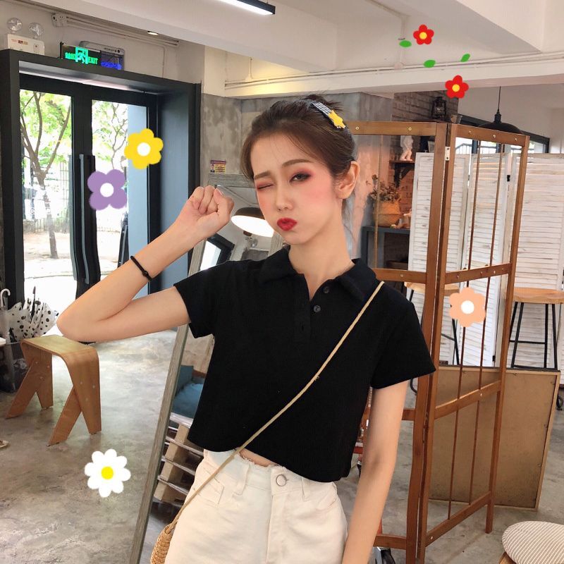 Summer Korean style polo shirt, versatile, slimming, high-waisted, cropped, short-sleeved t-shirt, women's clothing 202